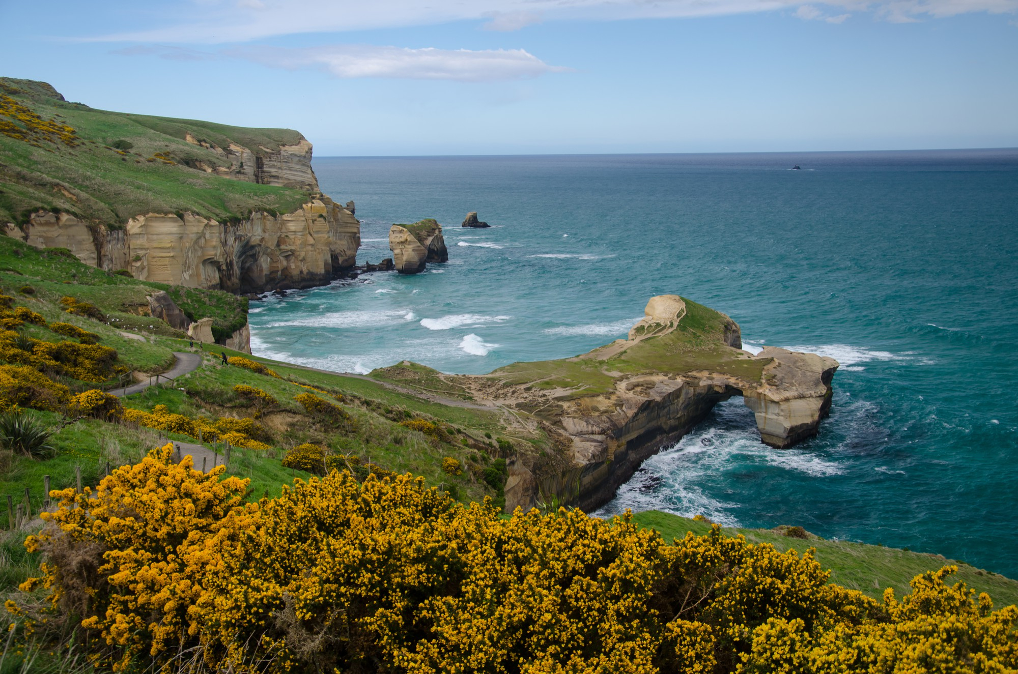 Driving in New Zealand: A Complete Visitor's Guide